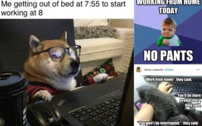 Best Working From Home Memes